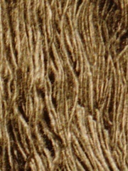 Click to view this Product