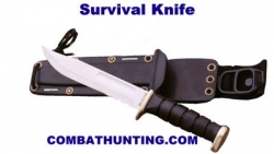 Click to view this Product