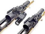 Click here to go to "SCOPE RINGS"