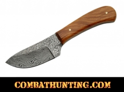 6" Damascus Steel Skinner Knife With Olive Wood Handle