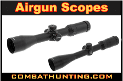 Airgun Scopes 22 Rifle Scopes