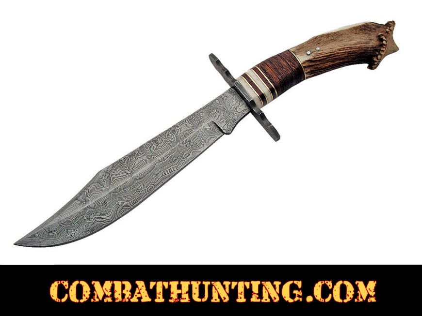 Stag Horn Damascus Steel Crown Bowie Knife style=