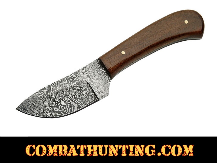 Damascus Steel Skinner Knife 6