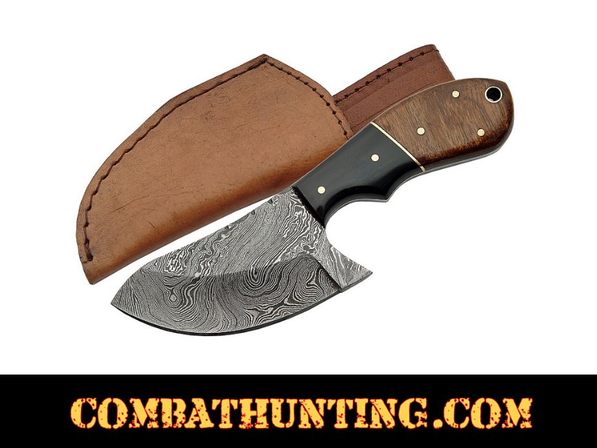 Damascus Skinning Knife with stag horn & Walnut Handle style=