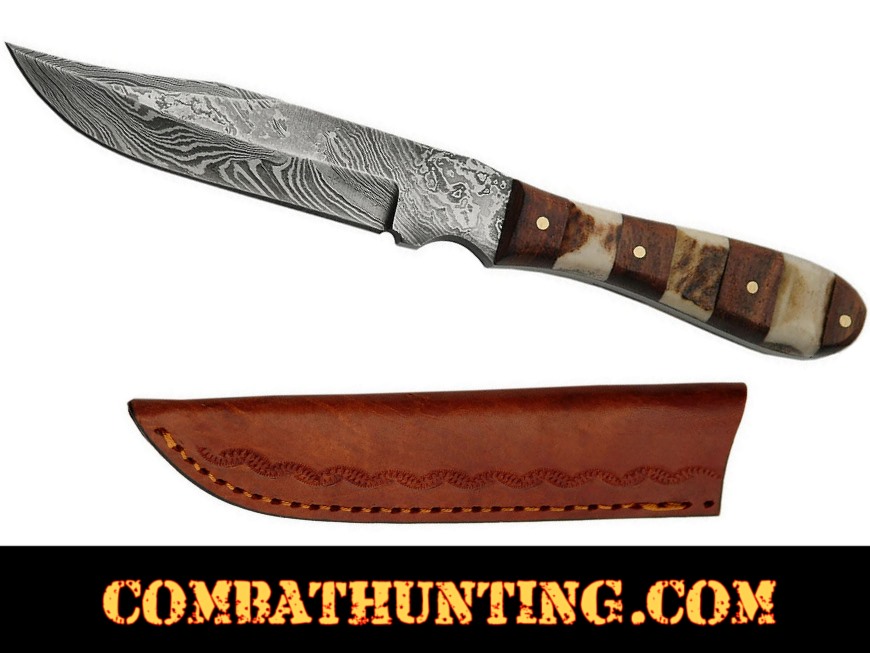 Damascus Steel Mini Hunting Knife With Stag Horn & Wood Handle style=