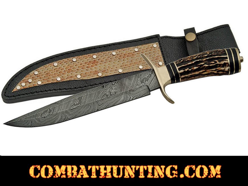Damascus Steel Hunting Knife Stag Horn Handle style=