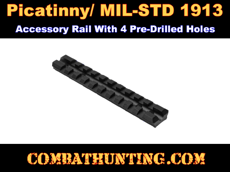 Picatinny/ MIL-STD 1913 Rail