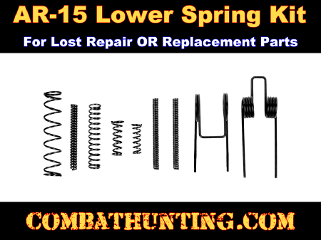 AR-15 Lower Receiver Spring Kit