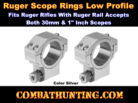 Ruger Style Ring 1